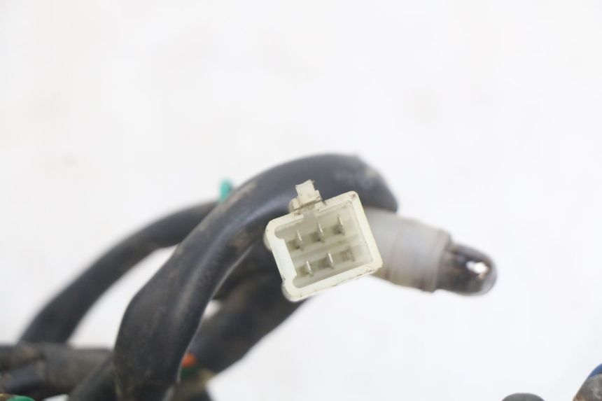 photo de LAMPA TYLNA PEUGEOT TWEET 4T 50 (2010 - 2014) - Szczegół części