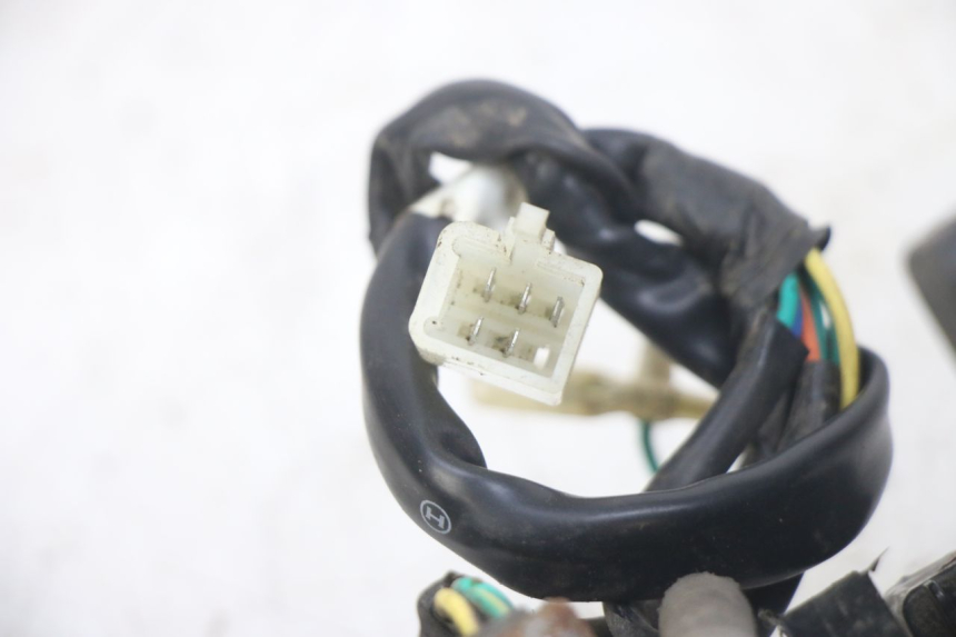 photo de LAMPA TYLNA PEUGEOT TWEET 4T 50 (2014 - 2019) - Szczegół części