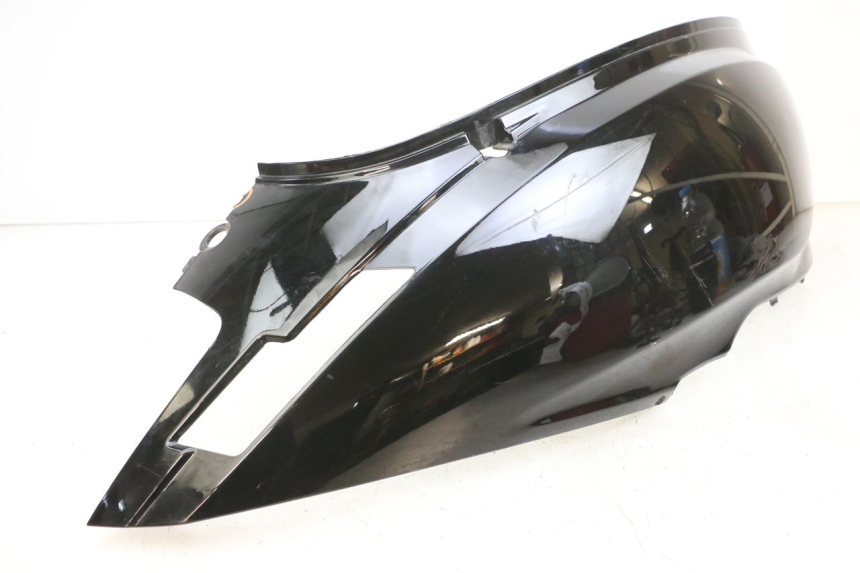 photo de PRAWY TYLNY BOK EFUN PUSA 1 - Oznaczenia i referencje