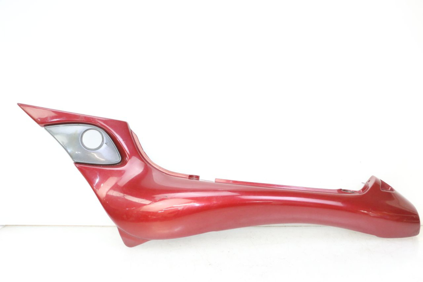 photo de LEWY TYLNY BOK TRIUMPH SPRINT 900 (1995 - 1998) - Widok główny