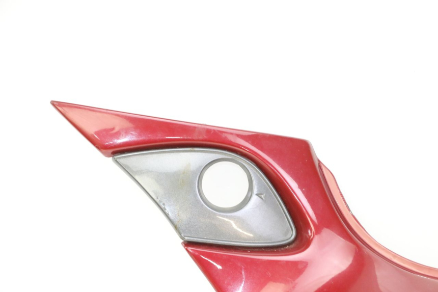 photo de LEWY TYLNY BOK TRIUMPH SPRINT 900 (1995 - 1998) - Widok główny