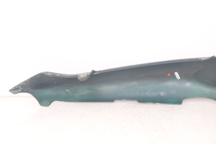 photo de LEWY TYLNY BOK TRIUMPH SPRINT ST 955 (1999 - 2001) - Zbliżenie techniczne