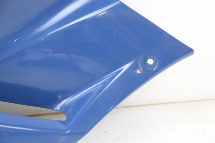 photo de LEWY PRZEDNI BOK YAMAHA TDM ABS 900 (2002 - 2014) - Widok z bliska