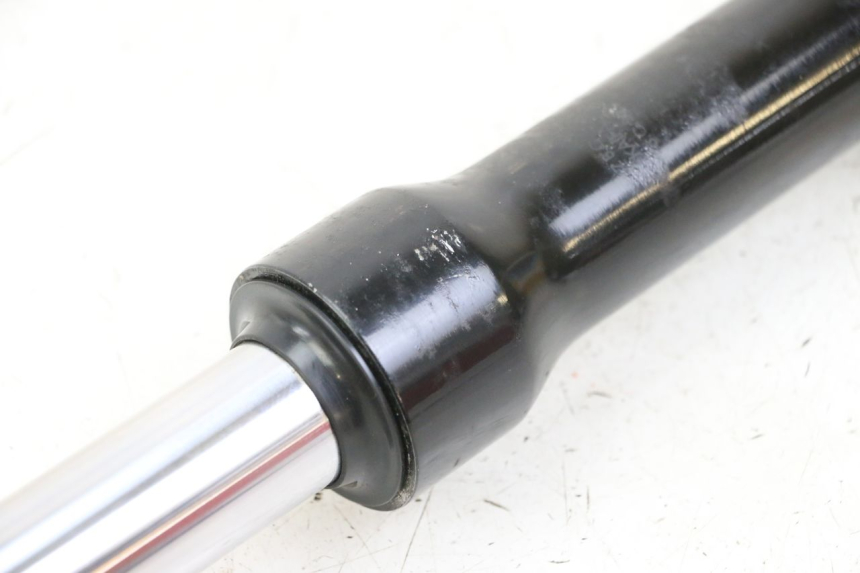 photo de LEWY POKROWIEC WIDEŁEK PEUGEOT TWEET 4T 50 (2023 - 2025) - Zbliżenie techniczne