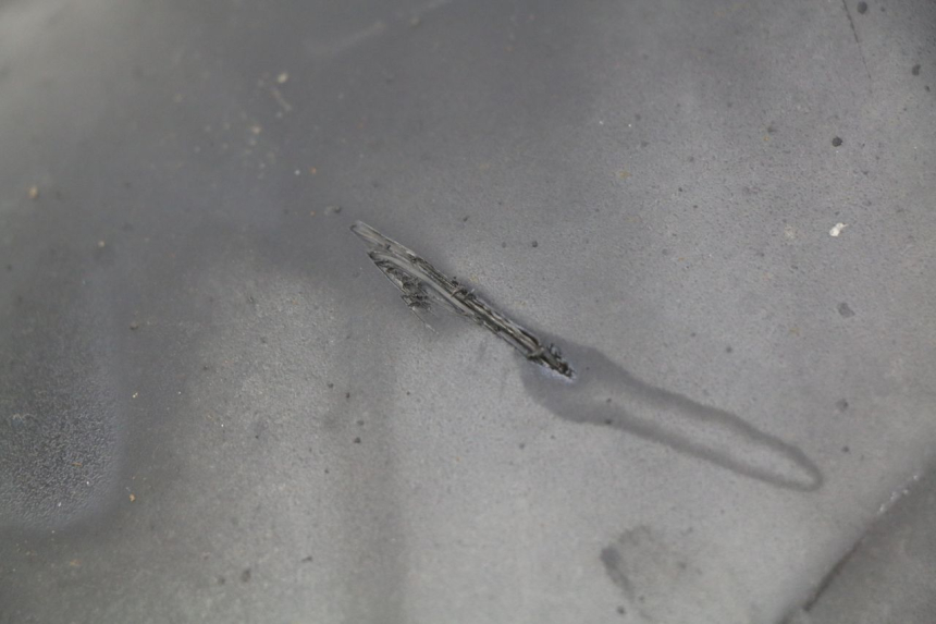 photo de TYLNY BŁOTNIK HONDA FORZA 125 (2015 - 2016) - Szczegół części