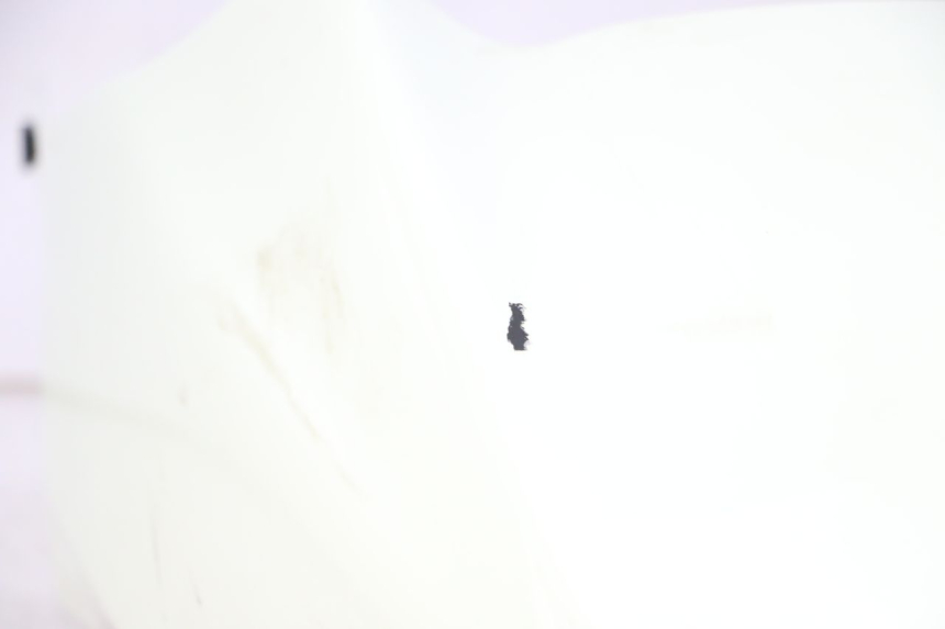 photo de BŁOTNIK PRZEDNI BMW C1 125 (2000 - 2003) - Widok z bliska