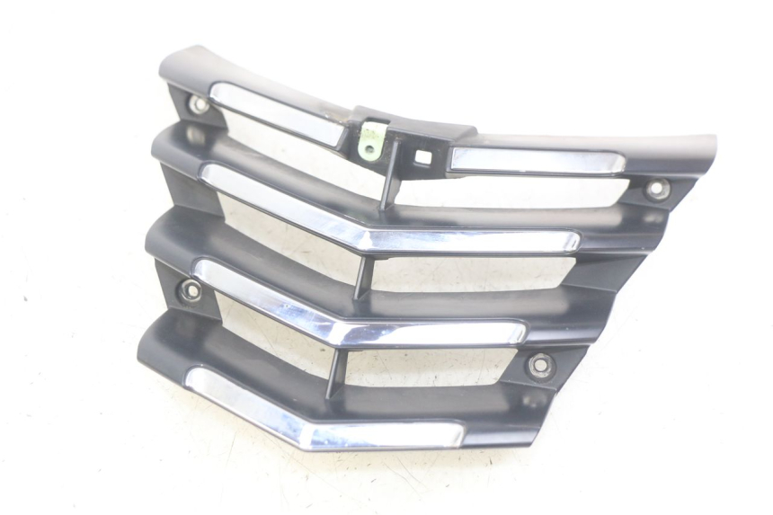 photo de KRATKA CHŁODNICY PEUGEOT CITYSTAR 125 (2011 - 2017) - Widok główny