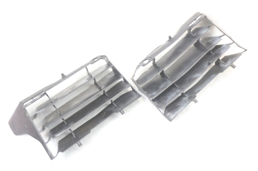 photo de KRATKA CHŁODNICY HONDA CRF R 250 (2020 - 2021) - Widok główny