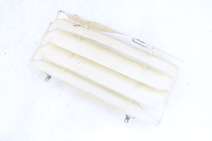 photo de KRATKA LEWEGO CHŁODNICY HONDA CRF CR-F 450 (2009 - 2012) - Widok główny