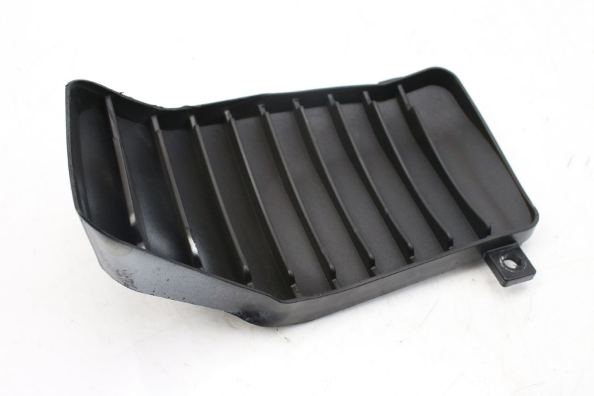 photo de KRATKA LEWA CHŁODNICY PIAGGIO VESPA GTS IGET ABS 125 (2017 - 2023) - Widok ogólny