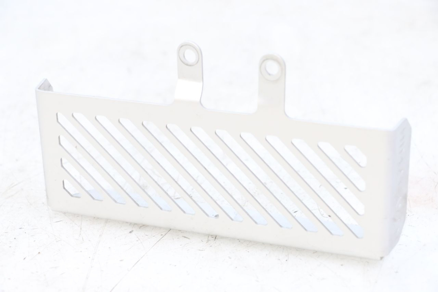 photo de KRATKA CHŁODNICY ROYAL ENFIELD HYMALAYAN 410 (2016 - 2023) - Widok główny