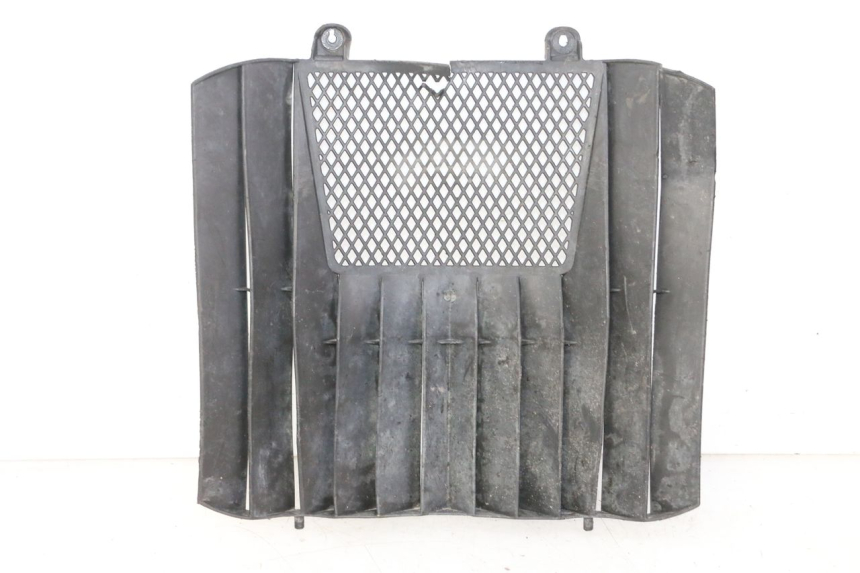 photo de KRATKA CHŁODNICY KTM SUPERENDURO R 950 (2005 - 2009) - Widok główny