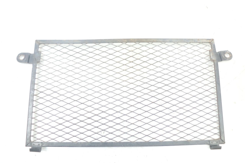 photo de KRATKA CHŁODNICY YAMAHA TDM ABS 900 (2002 - 2014) - Widok główny