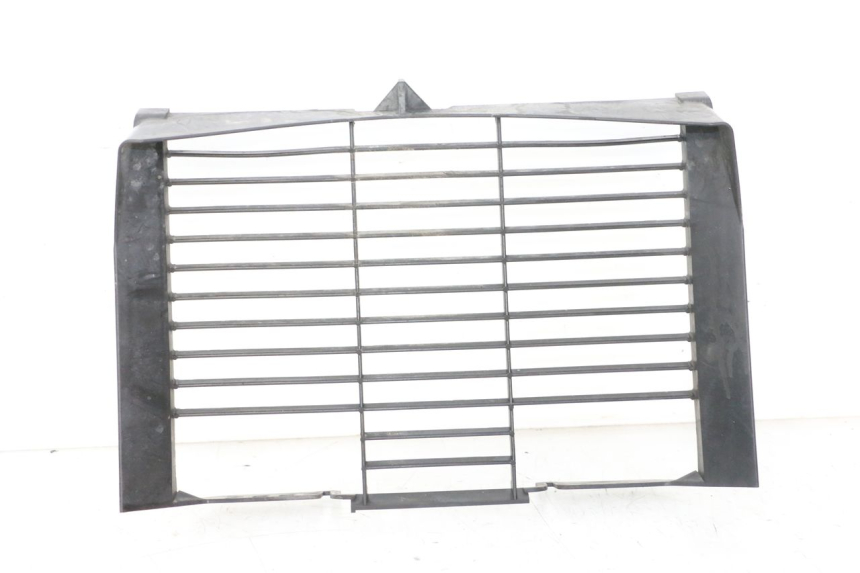 photo de KRATKA CHŁODNICY YAMAHA XJ6 ABS 600 (2008 - 2016) - Widok główny