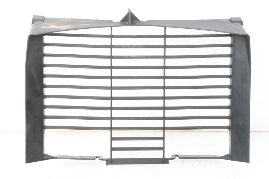 photo de KRATKA CHŁODNICY YAMAHA XJ6 600 (2008 - 2016) - Widok główny