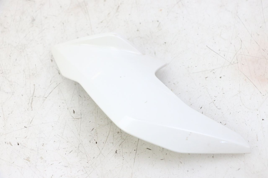 photo de WNĘTRZE GŁÓWKI WIDEŁEK PRAWEJ BMW G310 R 310 (2016 - 2020) - Widok ogólny