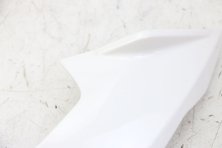 photo de WNĘTRZE GŁÓWKI LEWEJ WIDEŁKI BMW G310 R 310 (2016 - 2020) - Zbliżenie techniczne