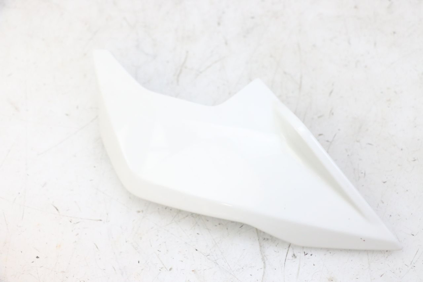 photo de WNĘTRZE GŁÓWKI LEWEJ WIDEŁKI BMW G310 R 310 (2016 - 2020) - Punkty mocowania