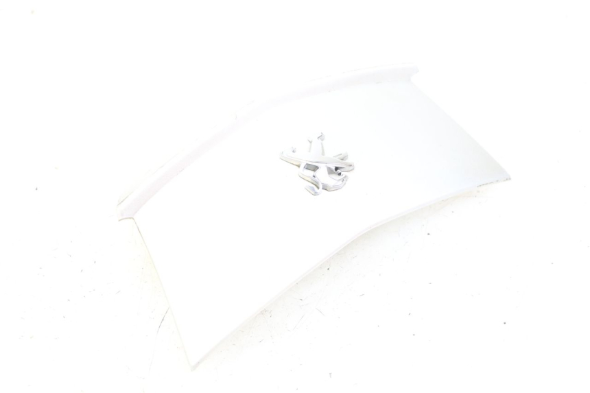 photo de ZŁĄCZE OWIEWKI TYLNEJ PEUGEOT CITYSTAR 125 (2011 - 2017) - Stan powierzchni