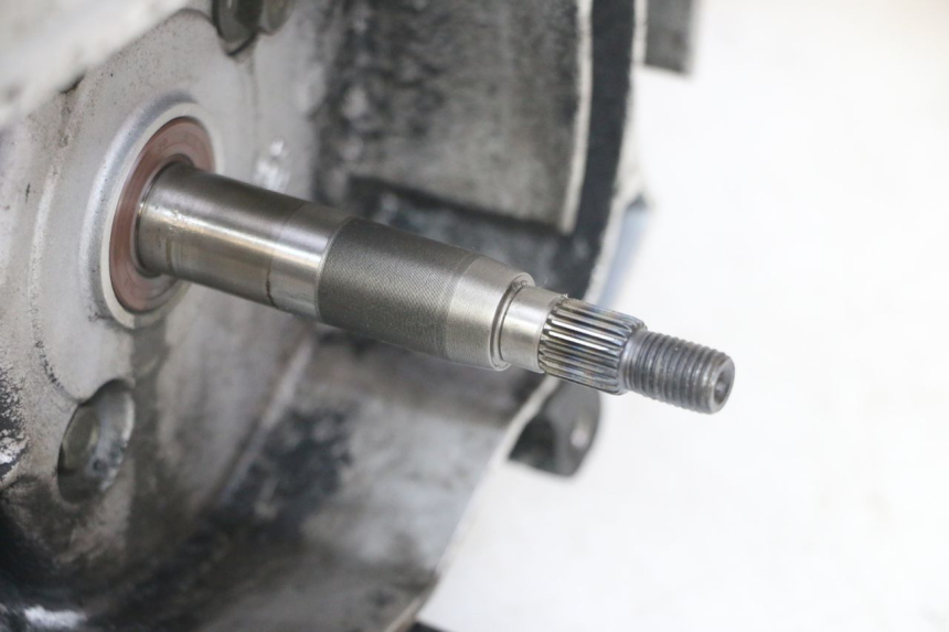 photo de SILNIK TNT MOTOR BOSTON 4T 50 (2018 - 2025) - Struktura - zbliżenie