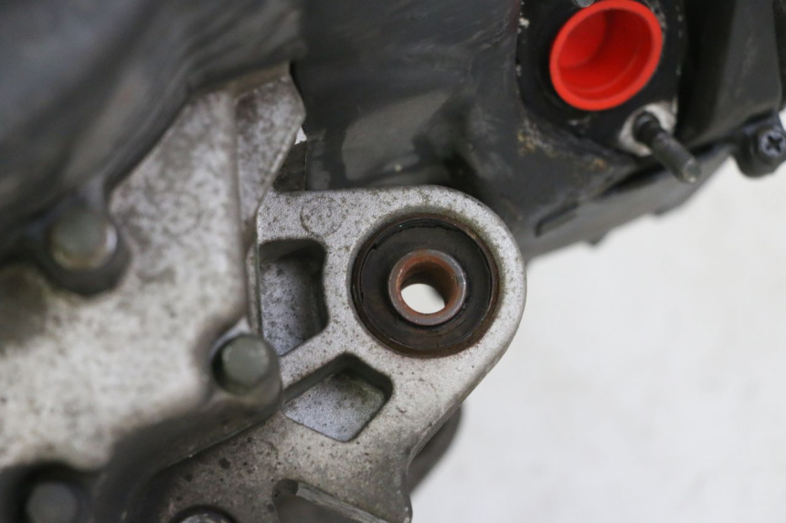 photo de SILNIK TNT MOTOR BOSTON 4T 50 (2018 - 2025) - Zbliżenie techniczne