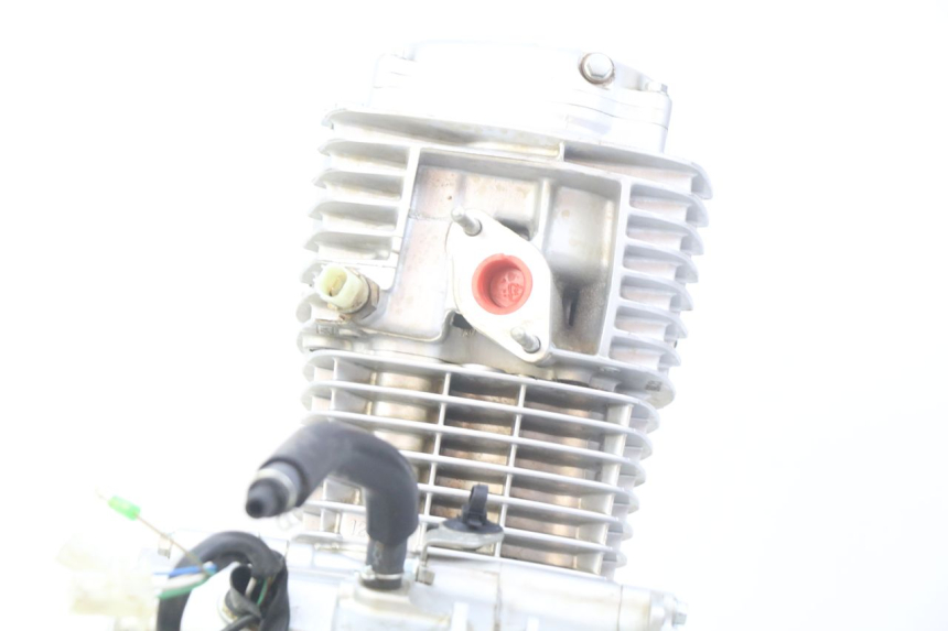 photo de SILNIK HONDA CRF CR-F 125 (2022 - 2023) - Widok z bliska