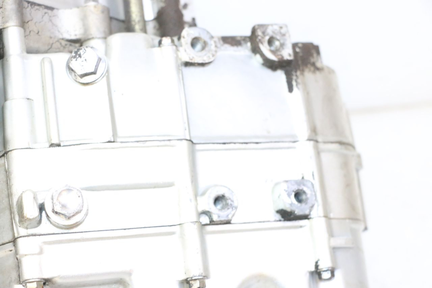 photo de SILNIK SKYTEAM DAX REPLICA 110 (2005 - 2015) - Struktura - zbliżenie