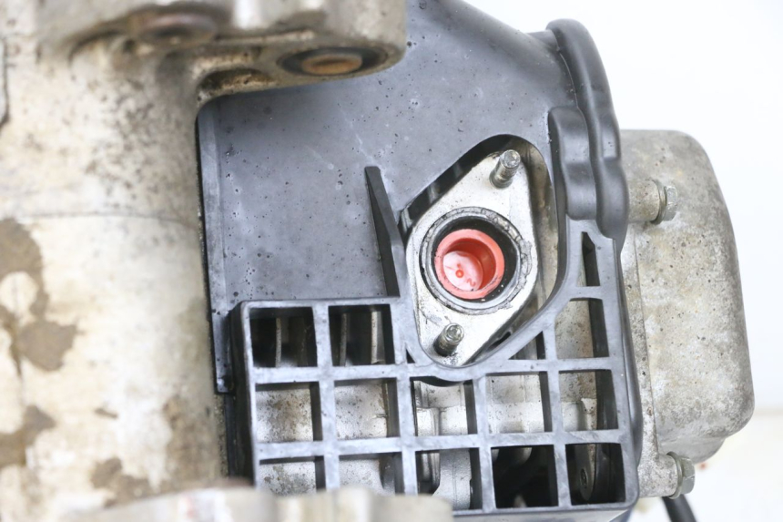 photo de SILNIK LONGJIA DIGITA 4T 50 (2019 - 2022) - Zoom stanu zużycia