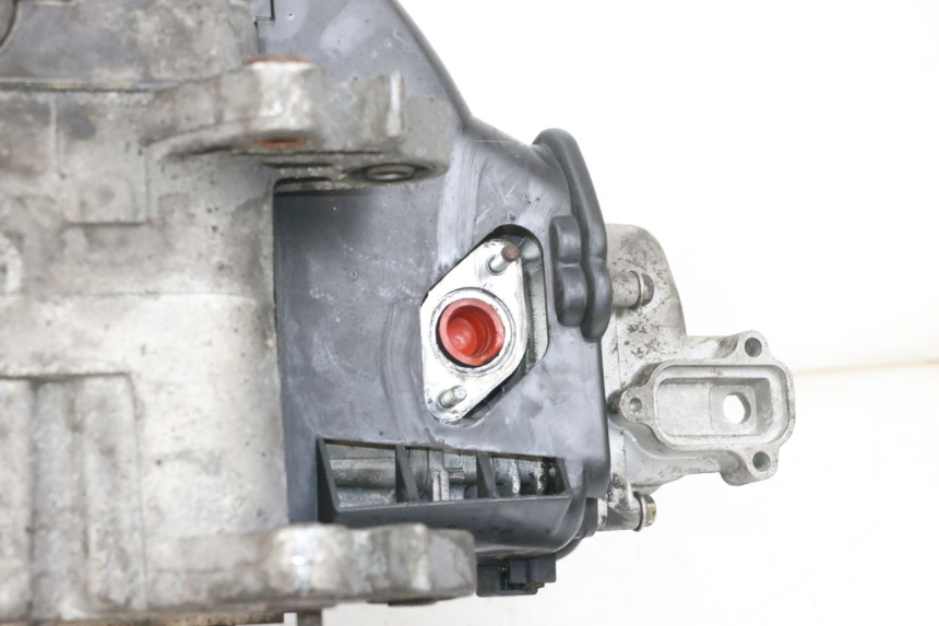 photo de SILNIK PEUGEOT DJANGO 4T 50 (2014 - 2019) - Zbliżenie techniczne