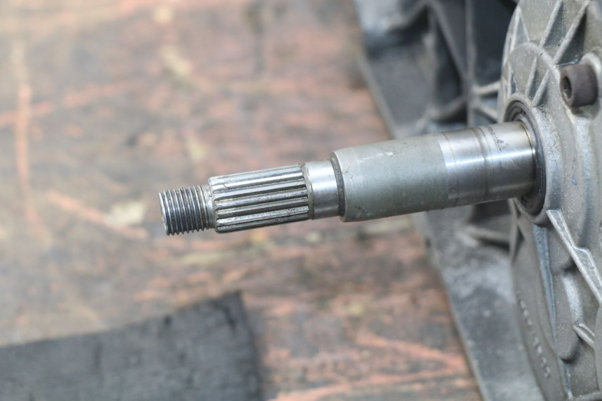 photo de SILNIK PEUGEOT ELYSTAR 125 (2002 - 2007) - Widok z bliska