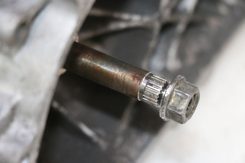 photo de SILNIK PEUGEOT ELYSTAR 50 (2002 - 2014) - Zoom stanu zużycia