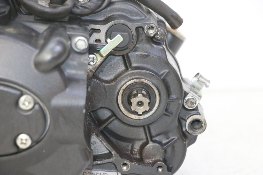 photo de SILNIK STAHO FH 50 (2018 - 2019) - Widok z bliska