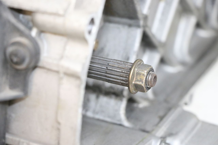 photo de SILNIK PIAGGIO LIBERTY 4T 50 (2018 - 2021) - Szczegóły charakterystyczne