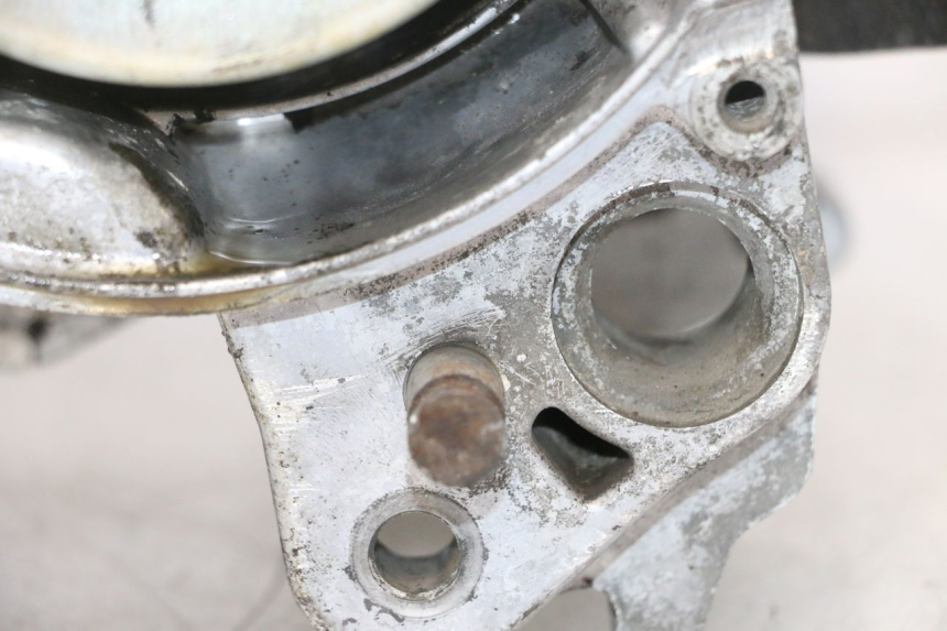 photo de SILNIK PEUGEOT LUDIX PRO 2T 50 (2010 - 2017) - Widok główny
