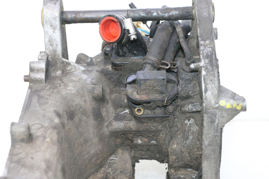 photo de SILNIK PEUGEOT LUDIX SNAKE 2T 50 (2004 - 2014) - Widok produktu