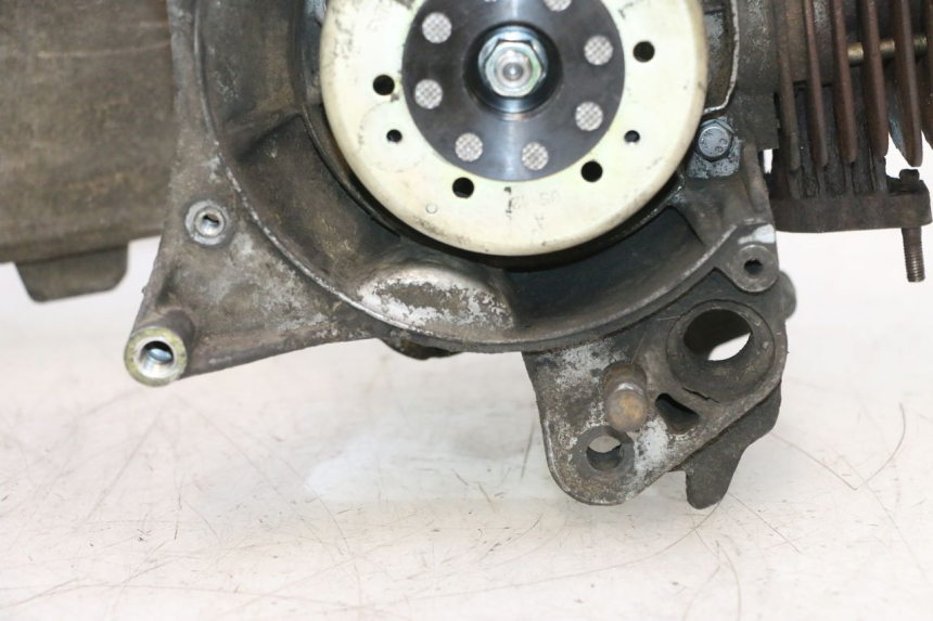 photo de SILNIK PEUGEOT LUDIX SNAKE 2T 50 (2004 - 2014) - Kontrola wizualna
