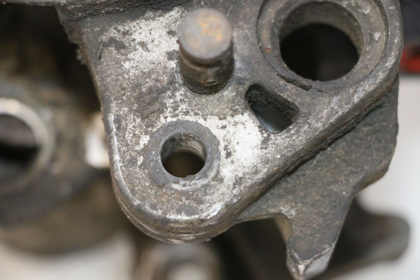 photo de SILNIK PEUGEOT LUDIX SNAKE 2T 50 (2004 - 2014) - Widok ogólny