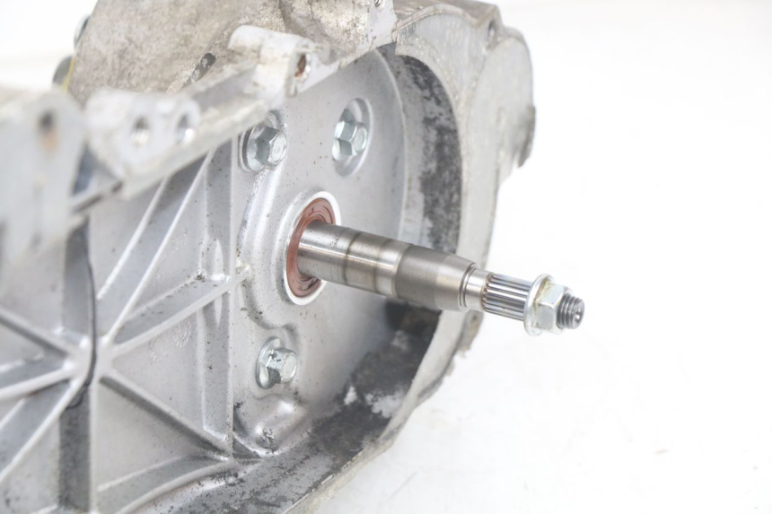 photo de SILNIK JM MOTORS OLDIES RS 4T 50 (2021 - 2024) - Zbliżenie komponentów