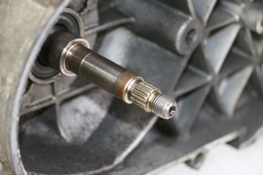 photo de SILNIK PEUGEOT SATELIS 125 (2006 - 2009) - Zoom jakości