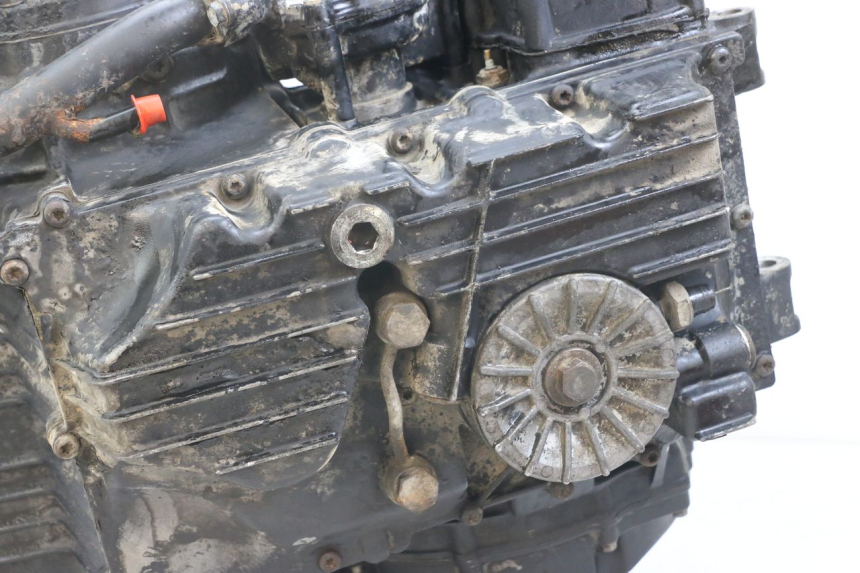 photo de SILNIK TRIUMPH SPEED TRIPLE T301 900 (1994 - 1996) - Widok ogólny