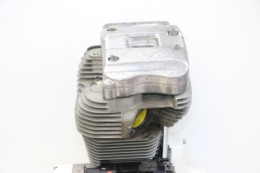 photo de SILNIK HARLEY DAVIDSON SPORTSTER XL CUSTOM 883 (1999 - 2006) - Struktura - zbliżenie