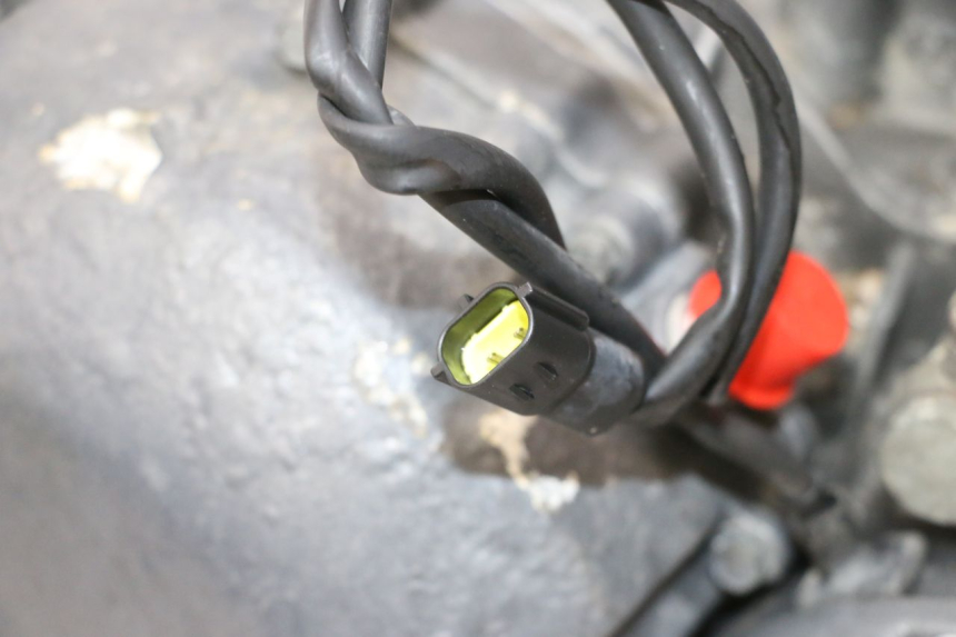 photo de SILNIK TRIUMPH SPRINT 900 (1995 - 1998) - Szczegół części