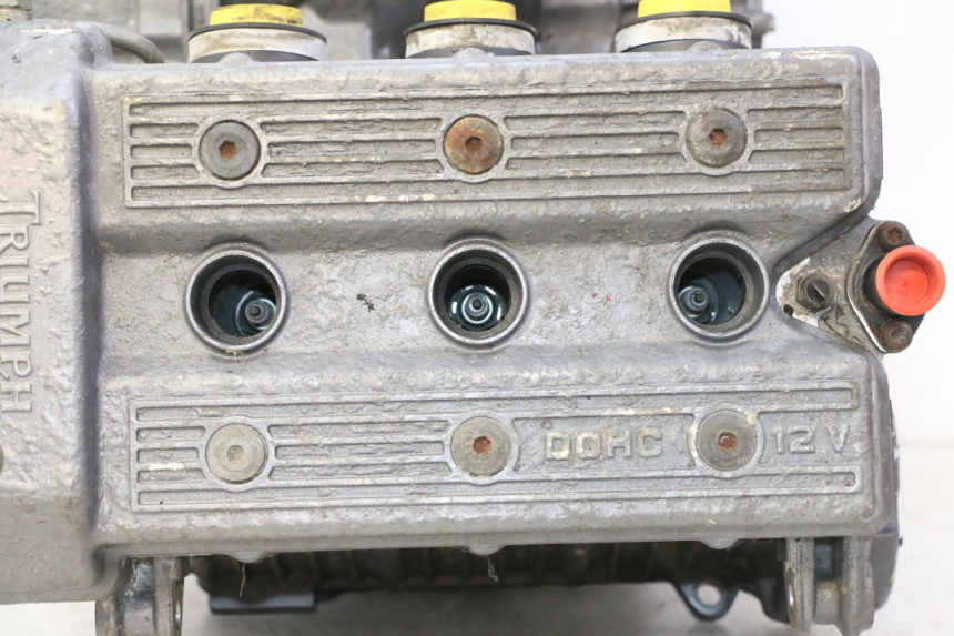 photo de SILNIK TRIUMPH SPRINT 900 (1995 - 1998) - Struktura - zbliżenie