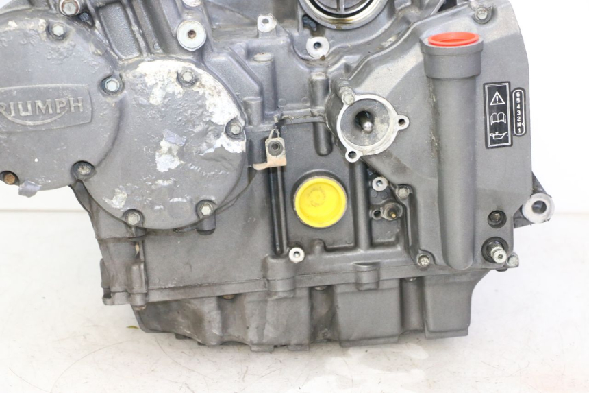 photo de SILNIK TRIUMPH SPRINT 900 (1995 - 1998) - Zbliżenie techniczne