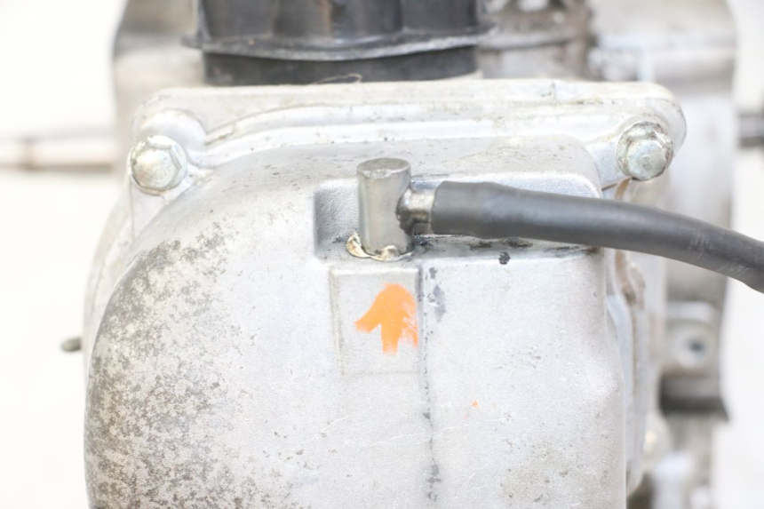 photo de SILNIK JM MOTORS SUNNY 50 (2017 - 2020) - Szczegóły charakterystyczne