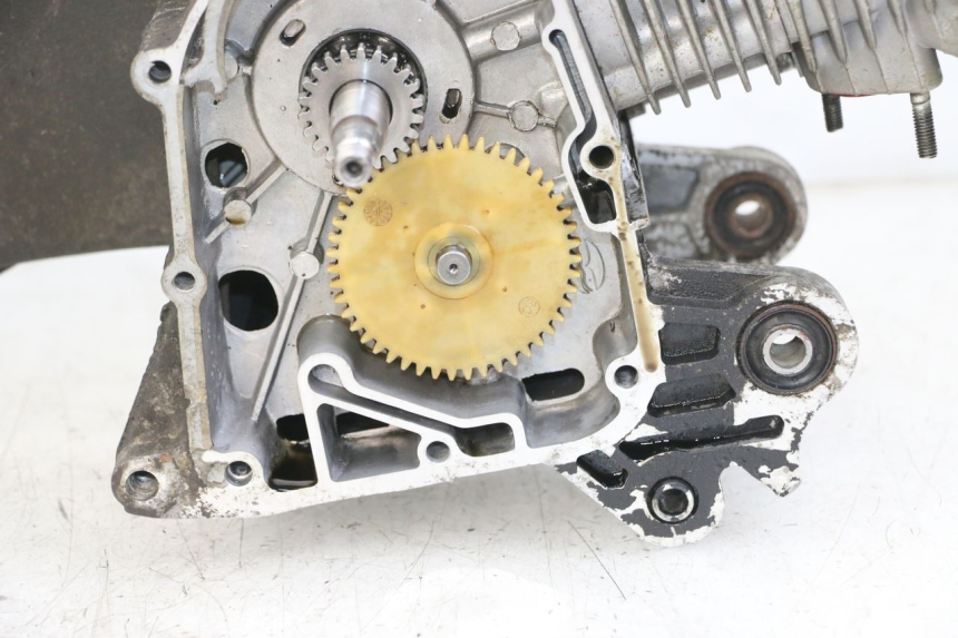 photo de SILNIK JM MOTORS SUNNY 50 (2017 - 2020) - Stan powierzchni