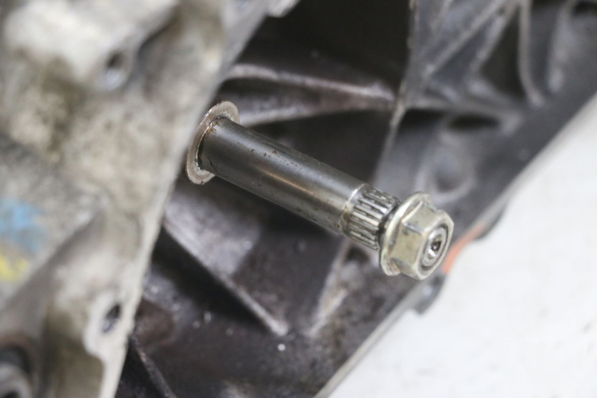 photo de SILNIK PEUGEOT TKR TREKKER FURIOUS 50 (2005 - 2014) - Widok profilu