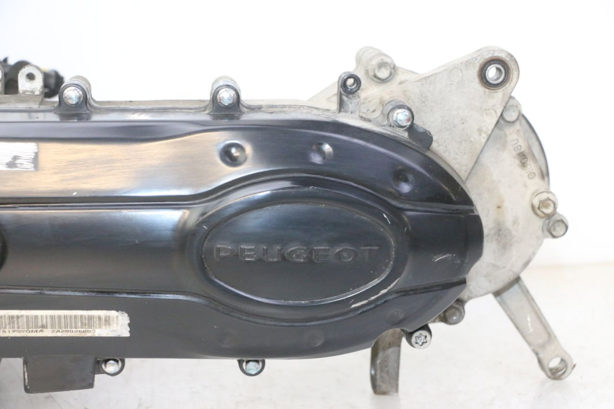 photo de SILNIK PEUGEOT TWEET 4T 50 (2018 - 2022) - Widok główny