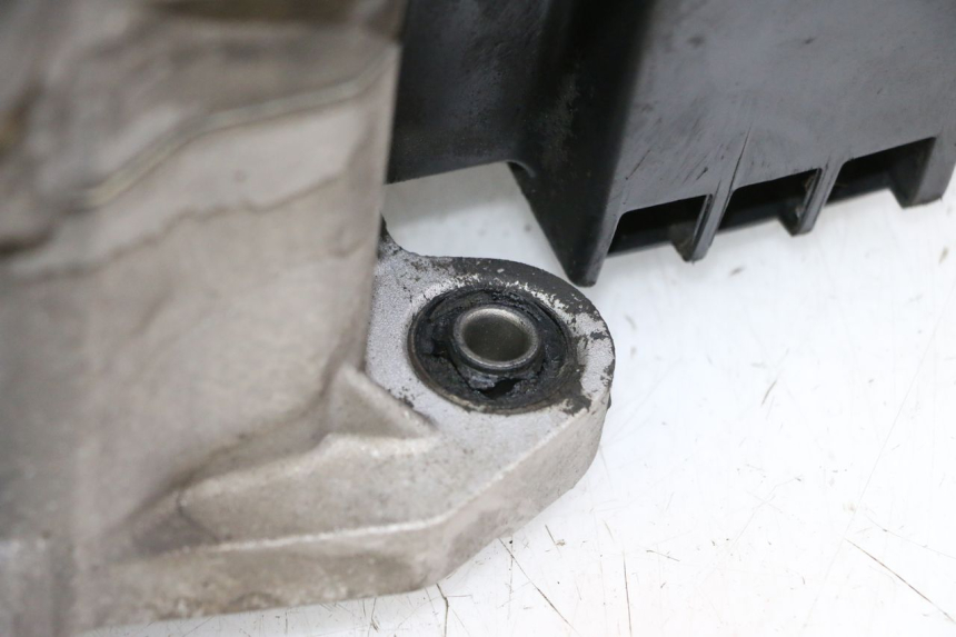 photo de SILNIK PEUGEOT TWEET PRO CARGO 50 (2018 - 2022) - Widok z bliska