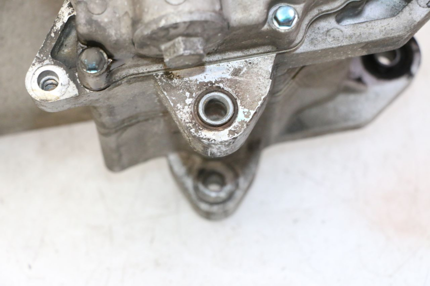 photo de SILNIK PEUGEOT TWEET PRO CARGO 50 (2018 - 2022) - Zoom jakości